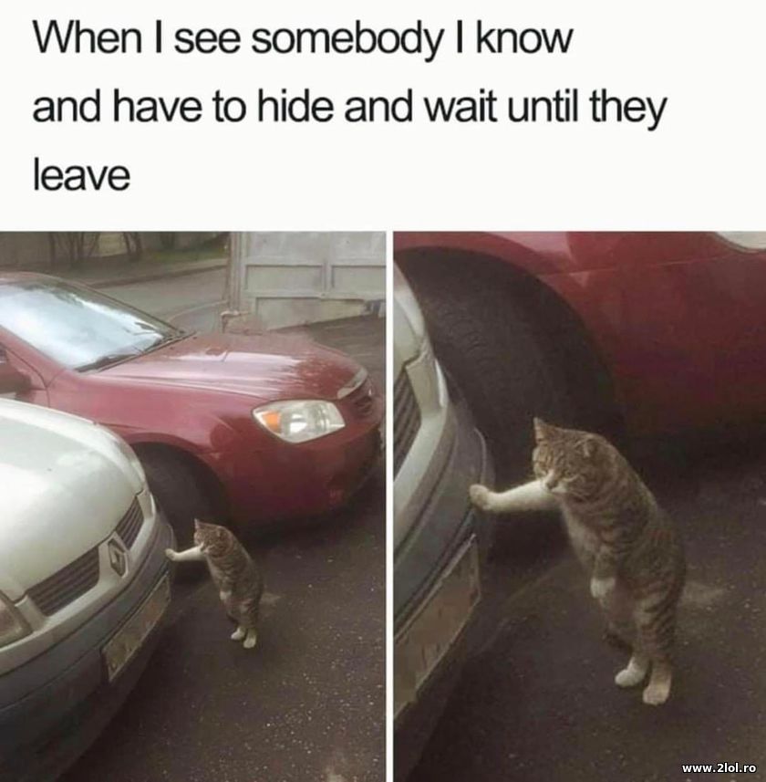 When I see somebody I know and have to hide | poze haioase