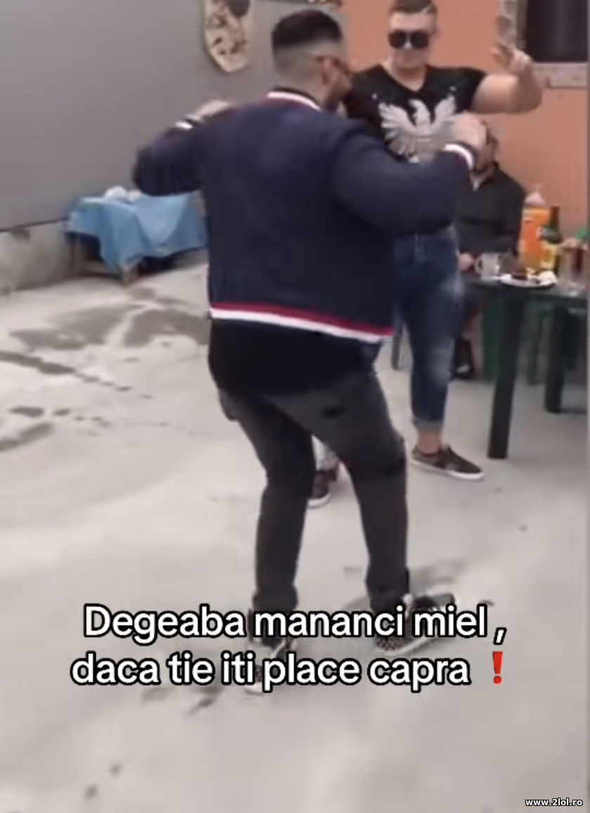 Degeaba mananci miel daca tie iti place capra | poze haioase