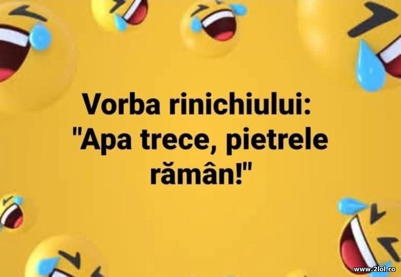 Vorba rinichiului | poze haioase