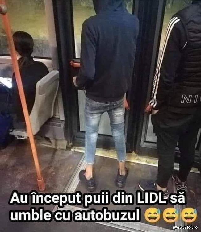 Au inceput puii de la LIDL sa umble cu autobuzul | poze haioase