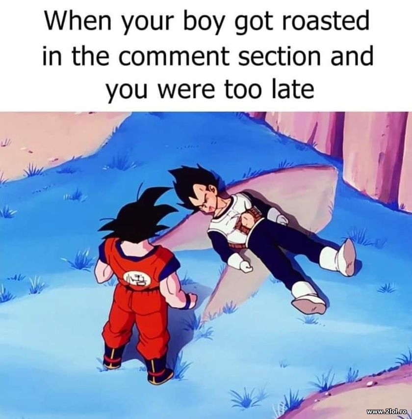 When your boy got roasted - DBZ | poze haioase