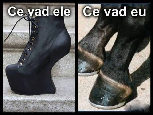 Dacă vrei un armăsar, tocurile copită te pot ajuta | poze haioase