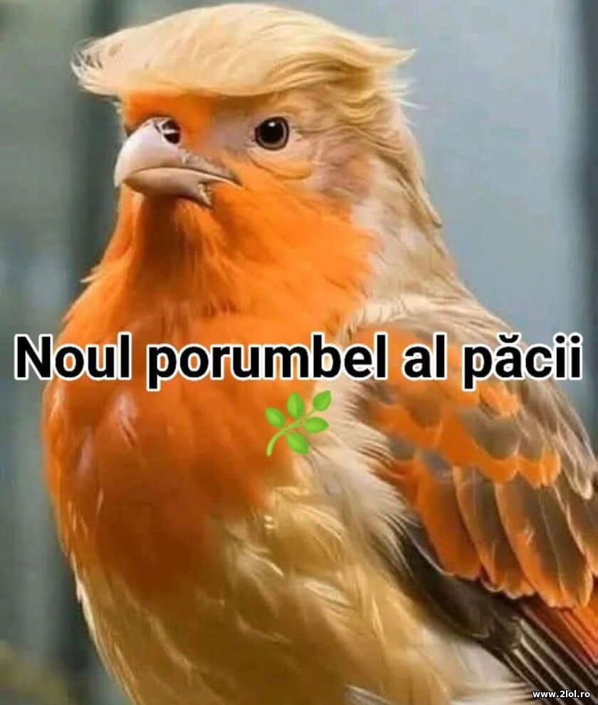 Noul porumbel al pacii | poze haioase