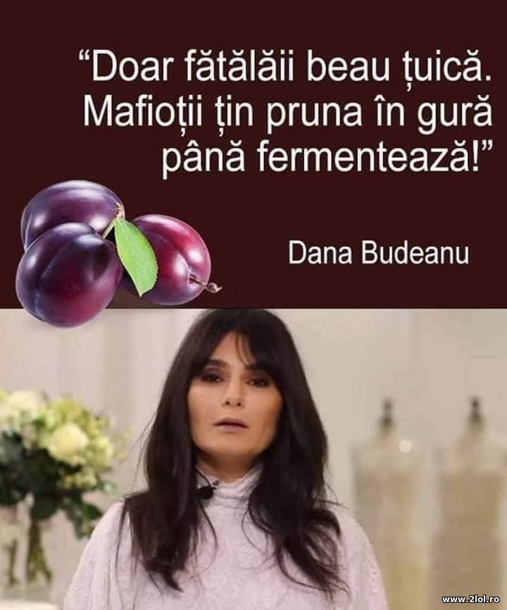 Fatalaii beau tuica. Mafiotii tin pruna in gura | poze haioase