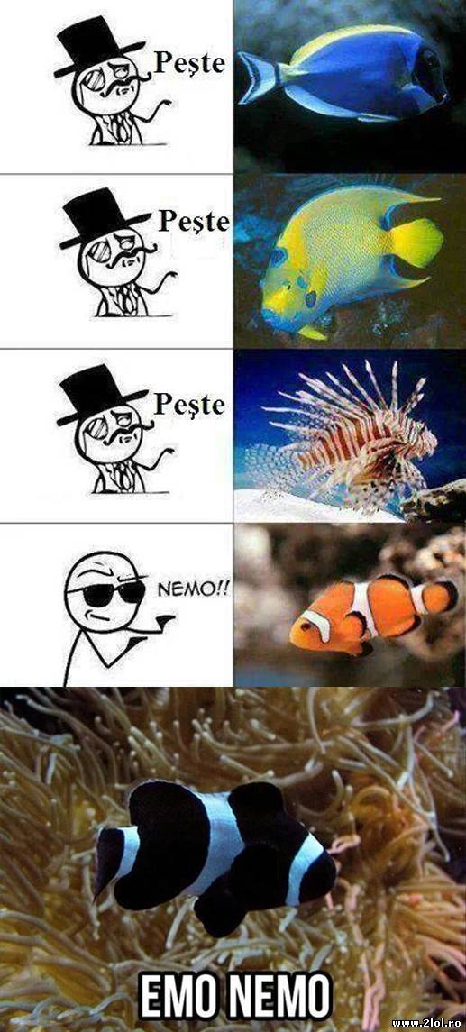 Denumirile peştilor | poze haioase