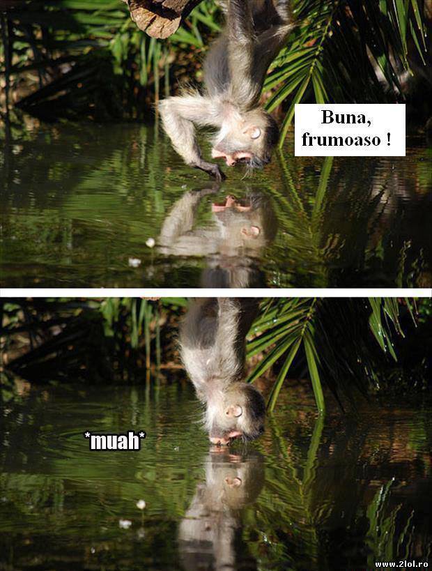 Momentul acela când îți place mult cum arăți | poze haioase