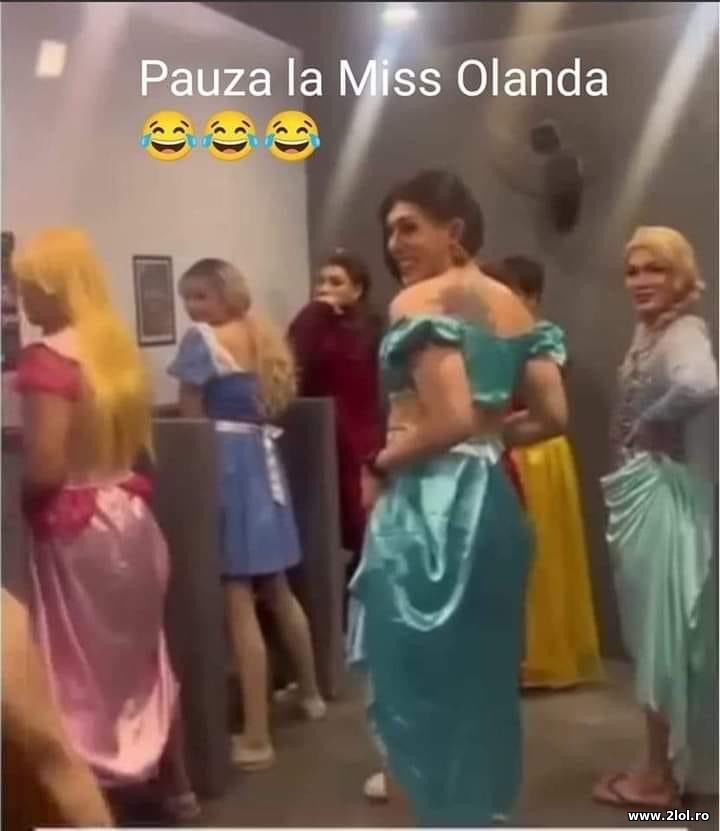 Pauza la Miss Olanda | poze haioase