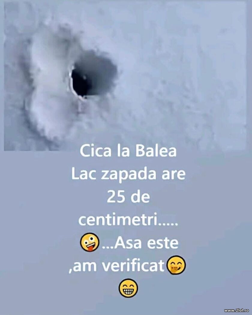 Zapda | poze haioase