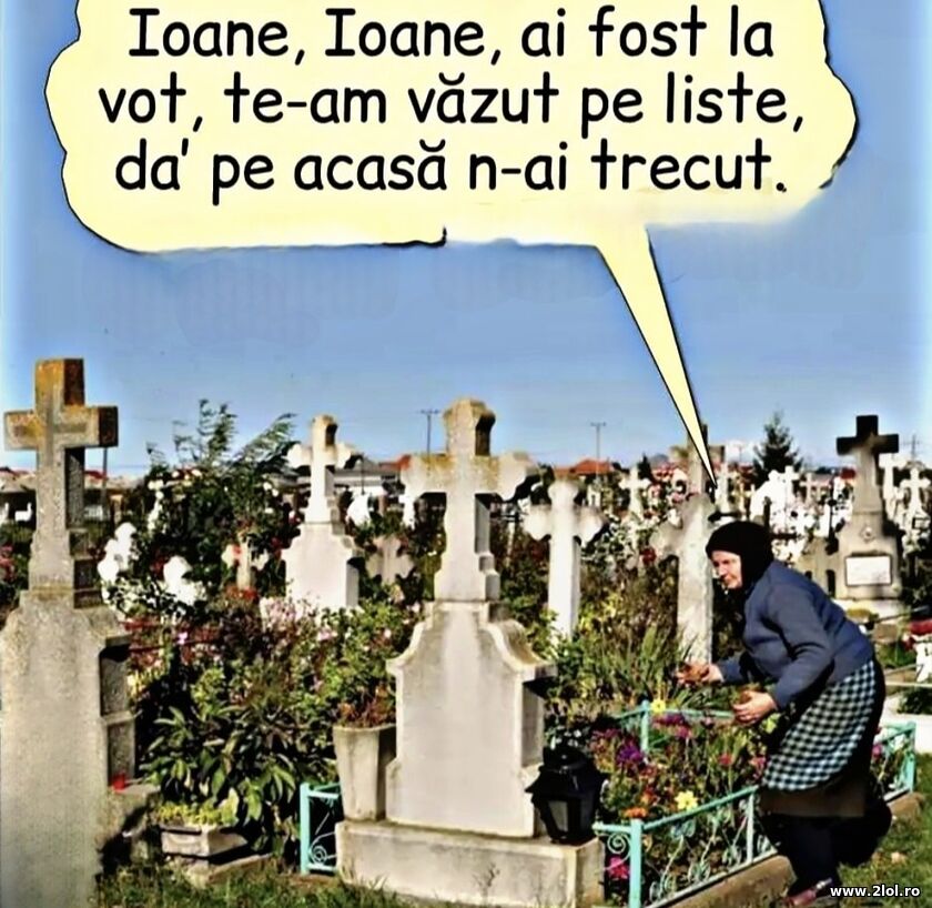 Ai fost la vot | poze haioase