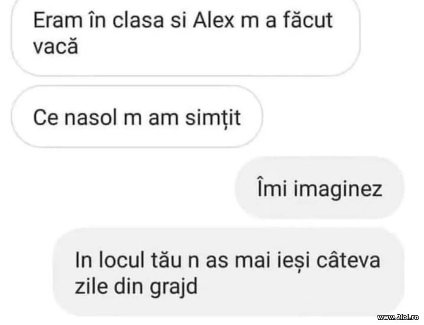 M-a facut vaca | poze haioase