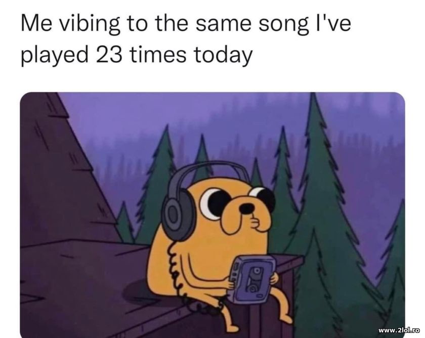 Vibing to the same song I've played 23 times | poze haioase