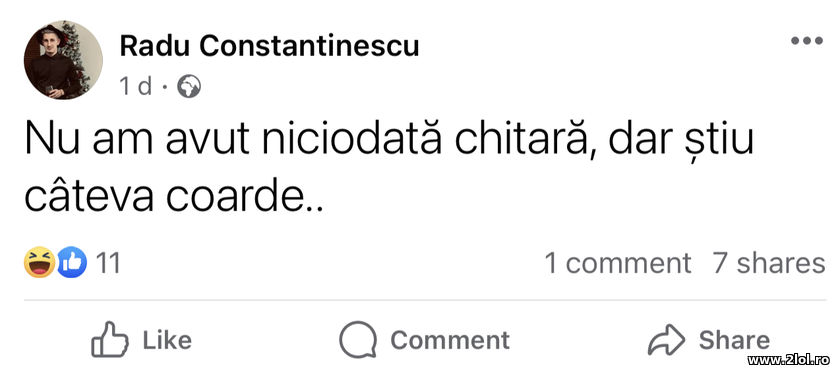 Nu am avut niciodata chitara, cateva coarde | poze haioase