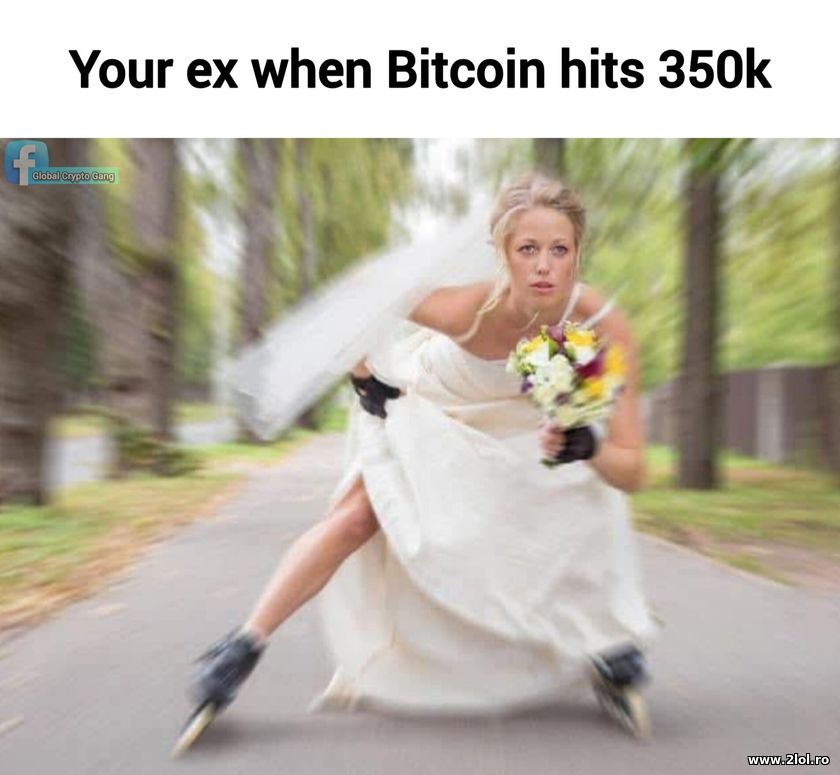 Your ex when Bitcoin hits $350k | poze haioase