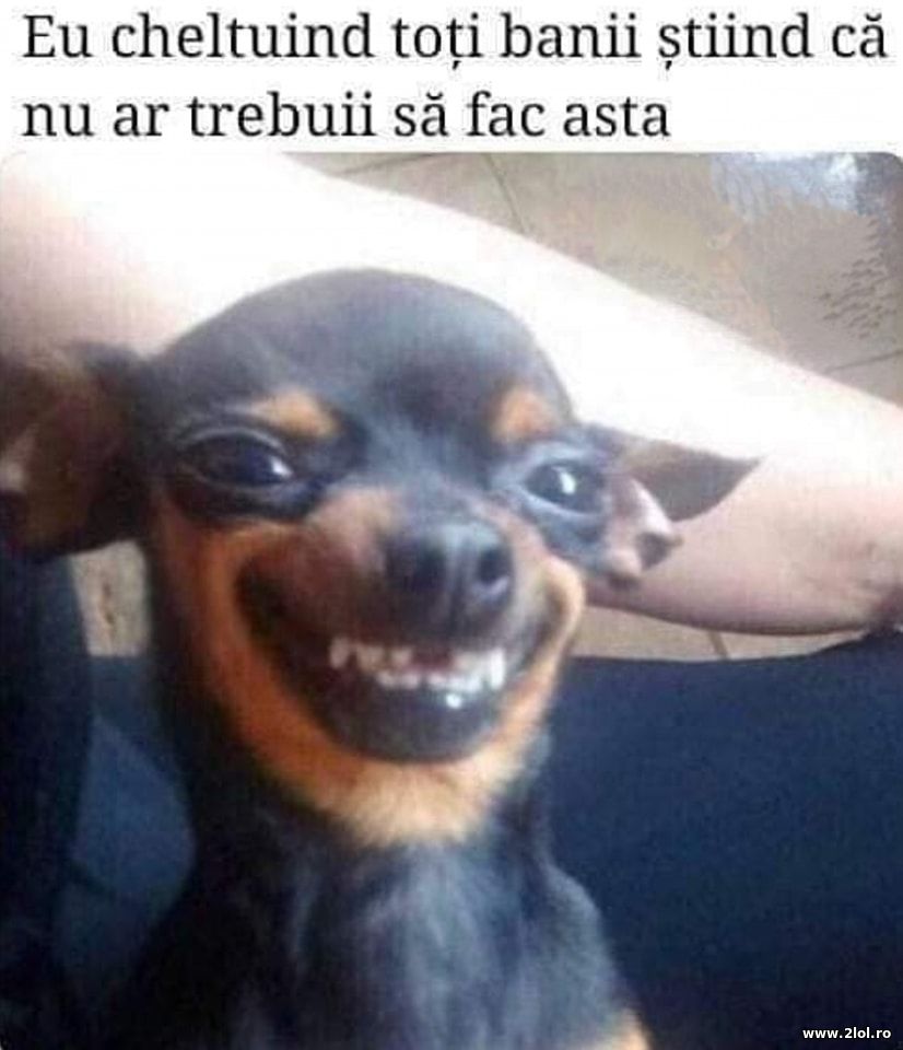 Eu cheltuind toti banii | poze haioase