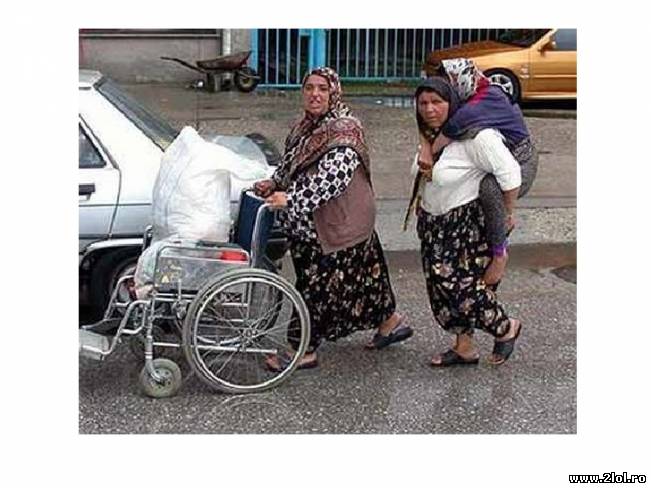 Lucrurile importante au prioritate | poze haioase