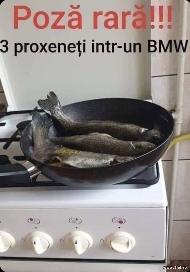 3 proxeneti intr-un BMW | poze haioase
