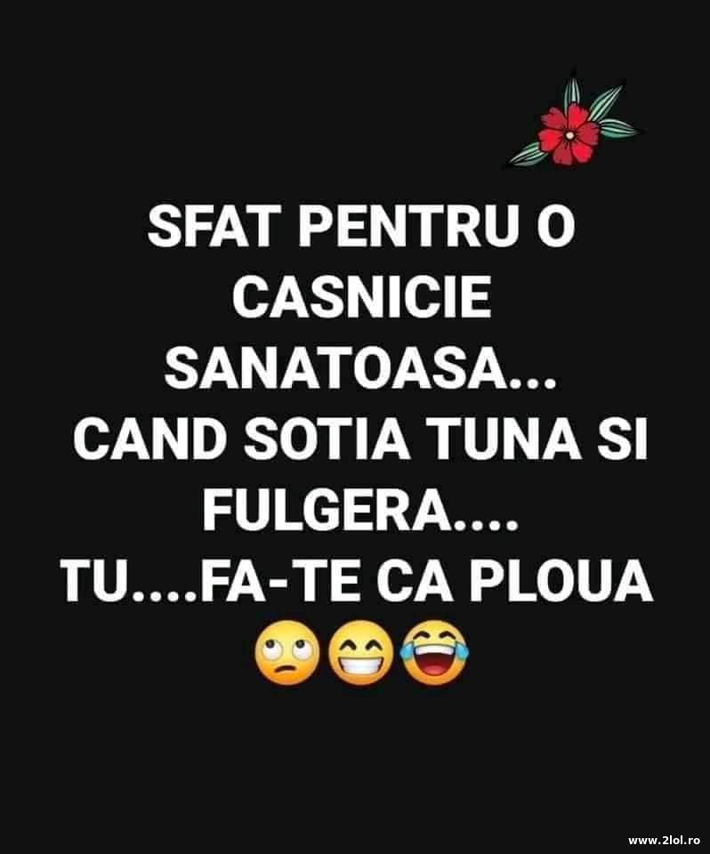 Sfat pentru o casnicie sanatoasa | poze haioase