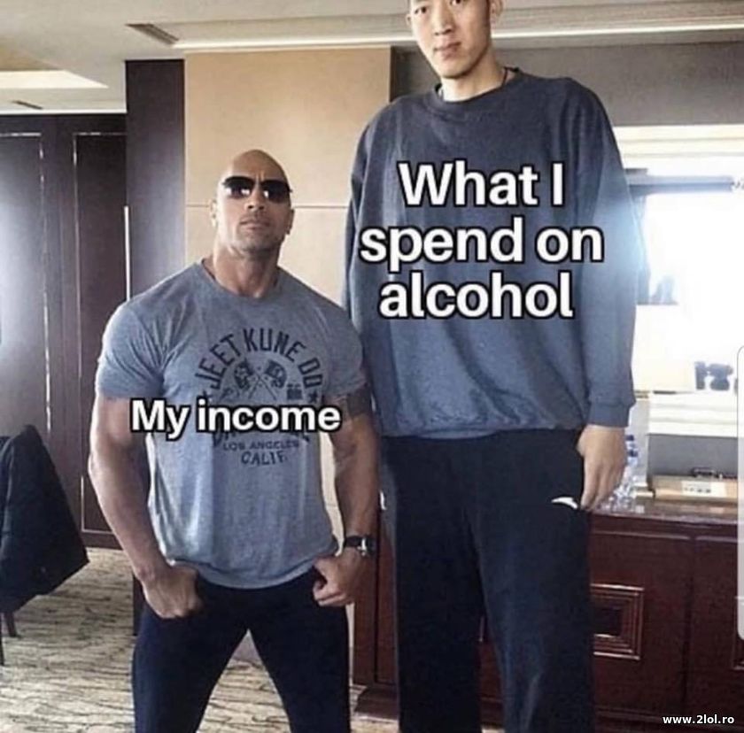 My income and what I spend on alcohol | poze haioase