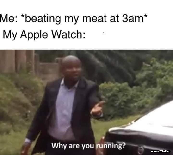 Why are you running? | poze haioase