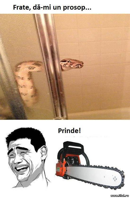 Frate, dă-mi un prosop | poze haioase