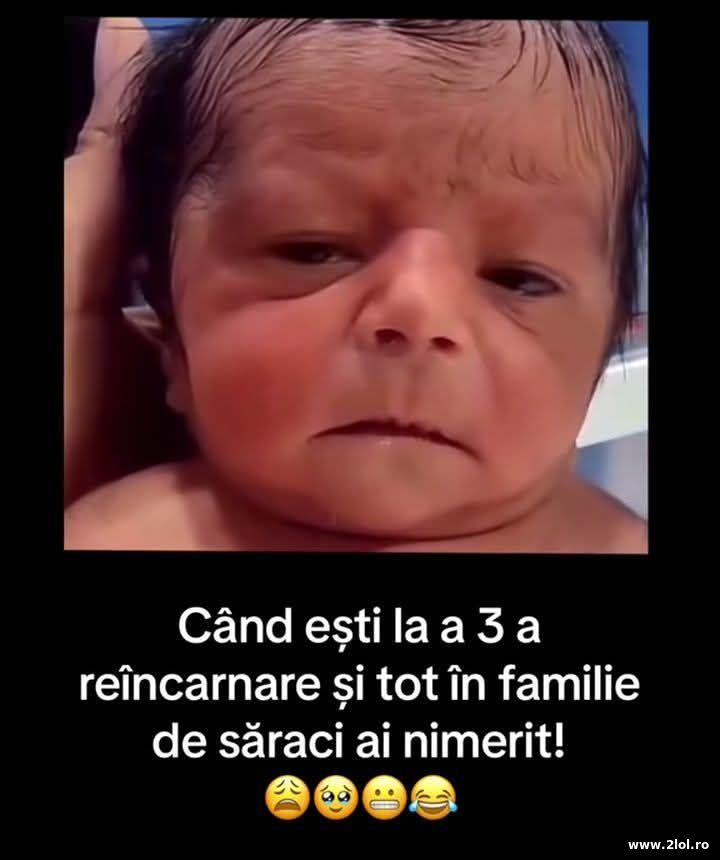 Cand esti la a 3-a reincarnare | poze haioase