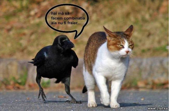 Cu toții avem un prieten ca acesta... | poze haioase