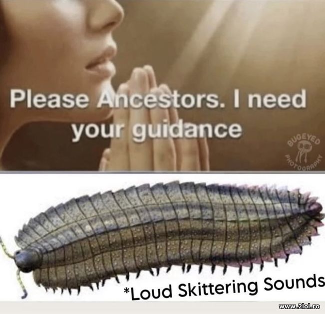 Please ancestors. I need your guidance | poze haioase