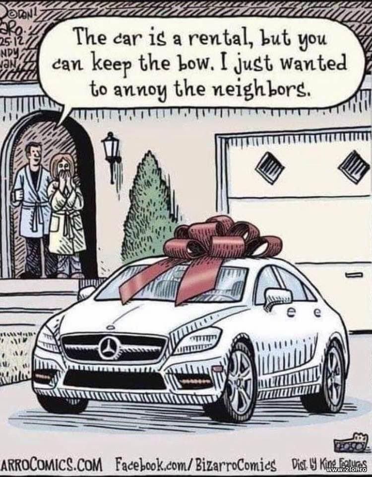 The car is rental but you can keep the bow | poze haioase