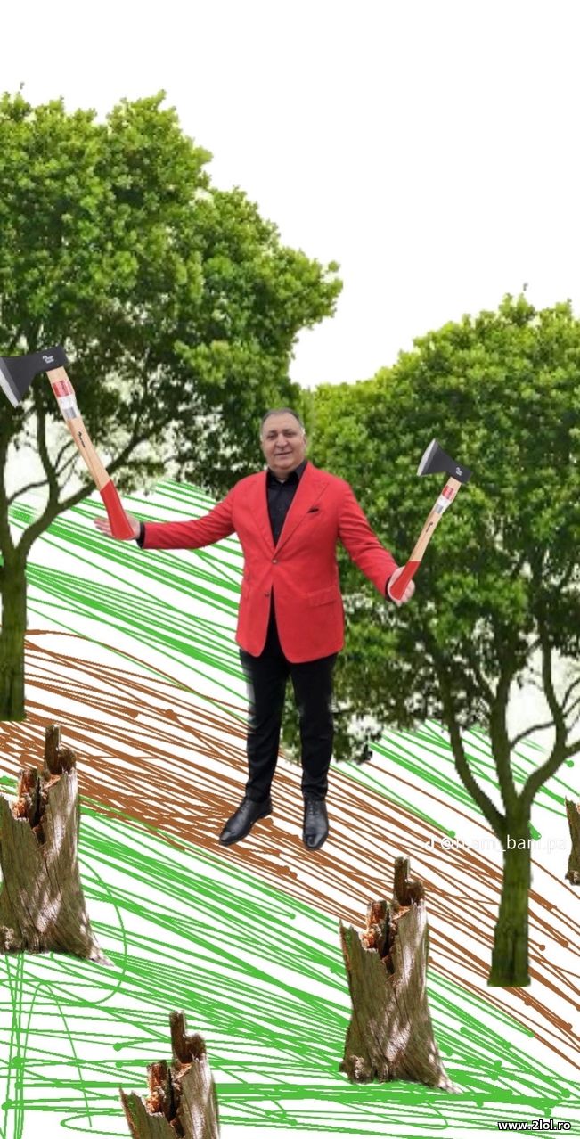 Vali Vijelie | poze haioase