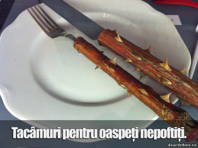 Ce tacâmuri dai oaspeților nepoftiți | poze haioase