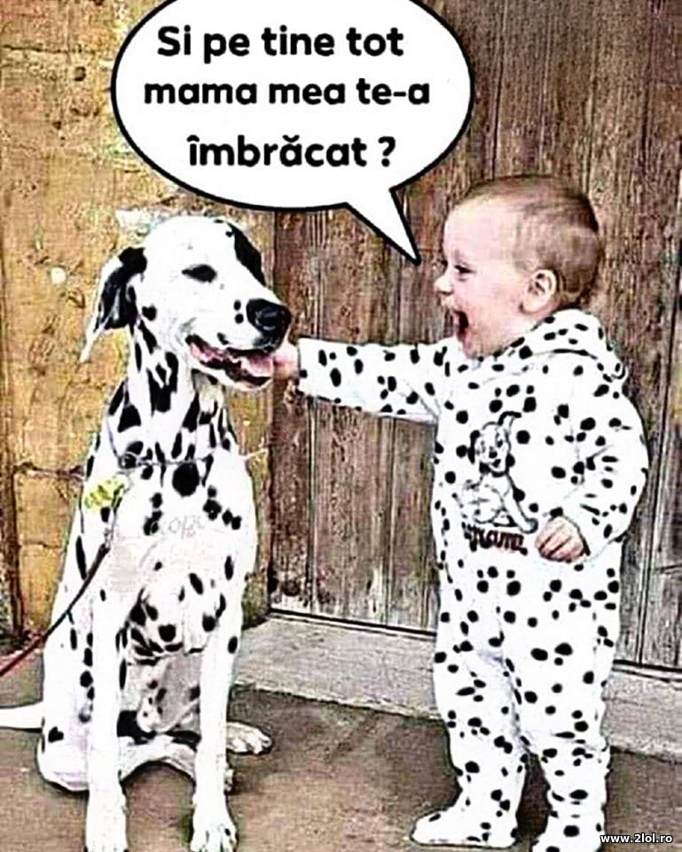 Si pe tine to mama mea te-a imbracat | poze haioase