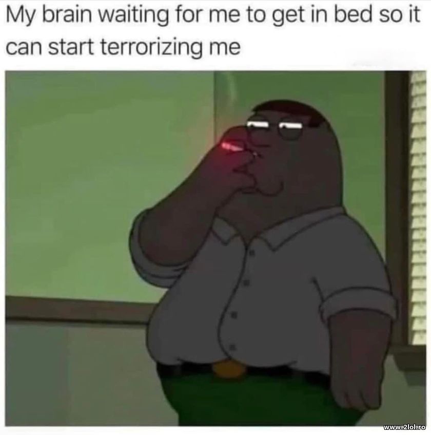 My brain waiting for me to get in bed | poze haioase