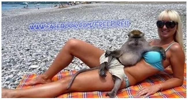 in the summertime | poze haioase