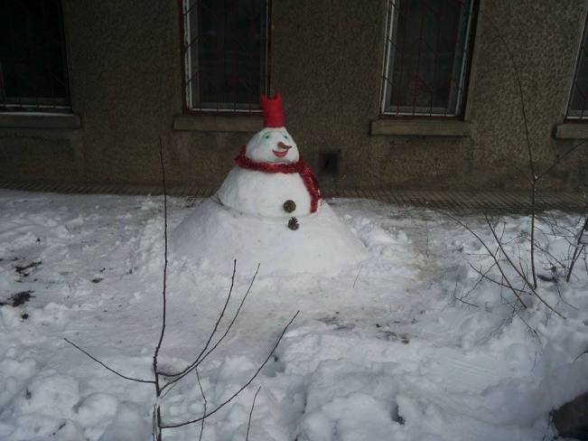 Oamenii de zăpadă din SUA | poze haioase