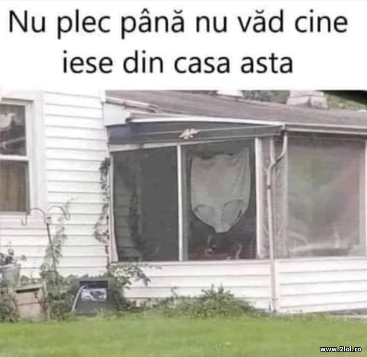 Nu plec pana nu vad cine iese din casa asta | poze haioase