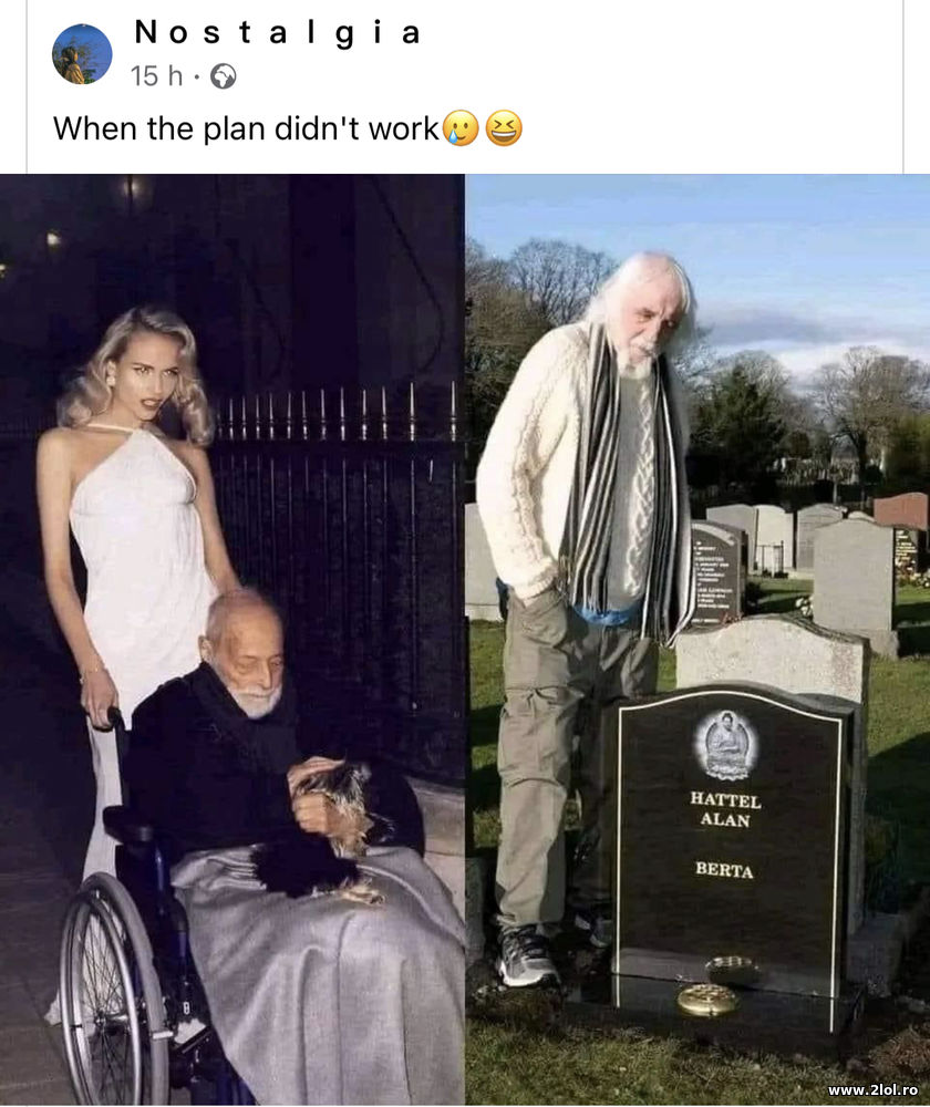 When the plan didn't work | poze haioase