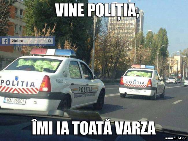 Vine poliția, îmi ia toată varza | poze haioase