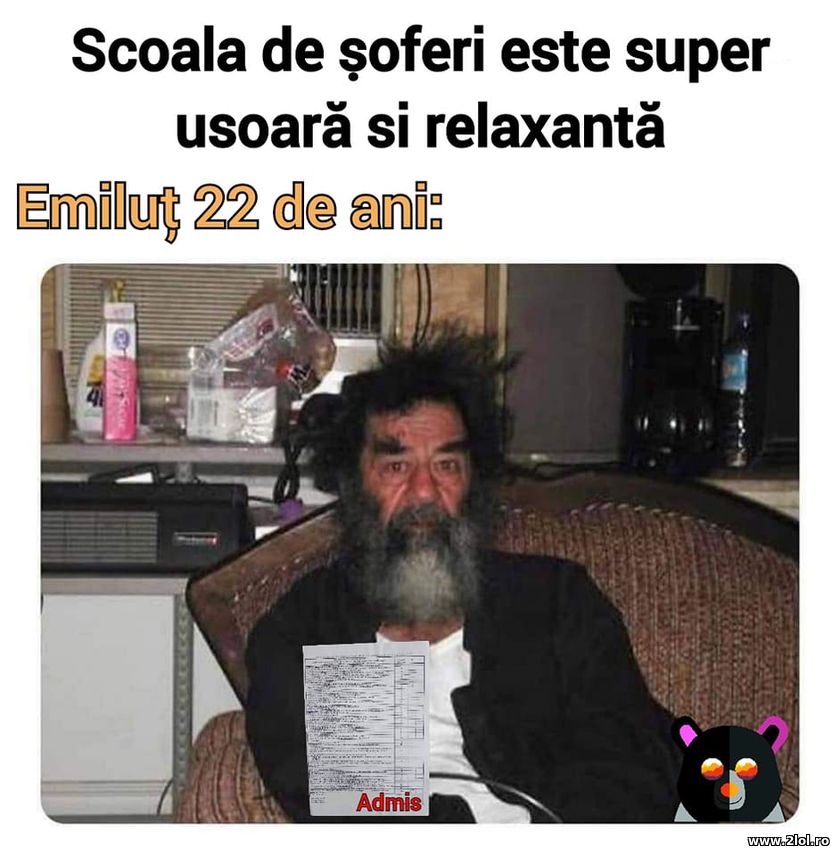 Scoala de soferi este super usoara si relaxanta | poze haioase