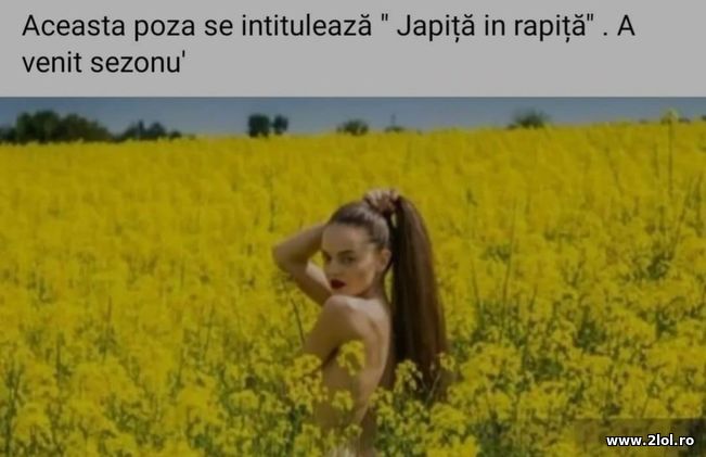 Japita in rapija | poze haioase