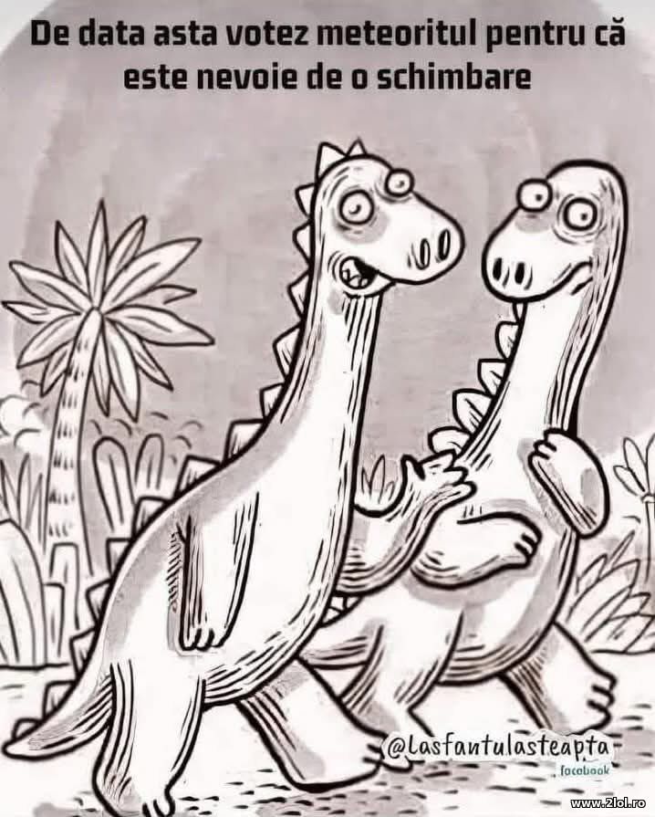 De data asta votez | poze haioase