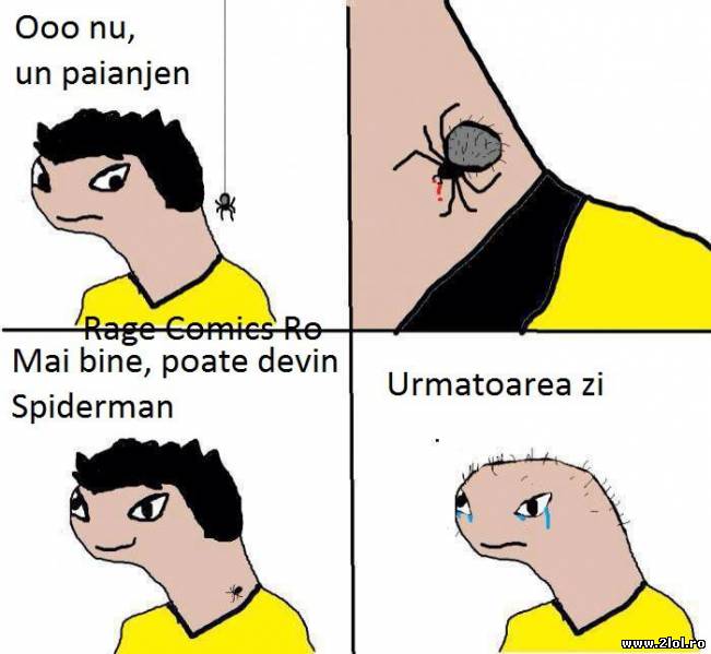 Mai bine, poate devin omul Spiderman | poze haioase