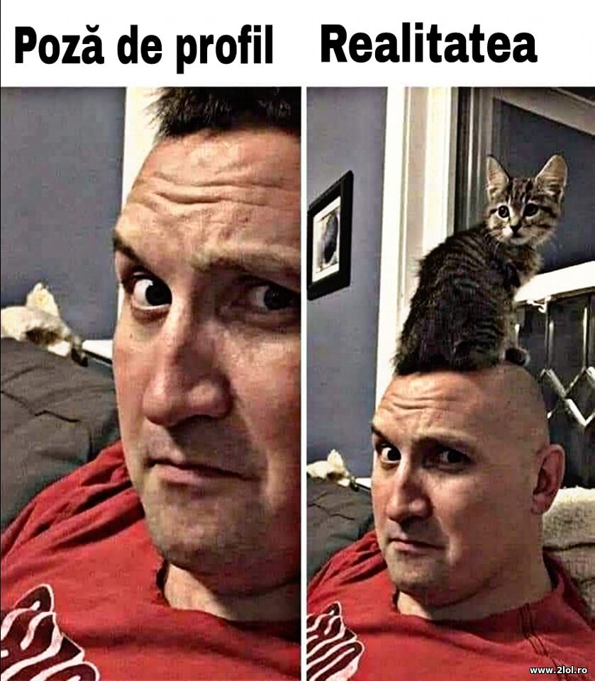 Poza de profil si realitatea | poze haioase