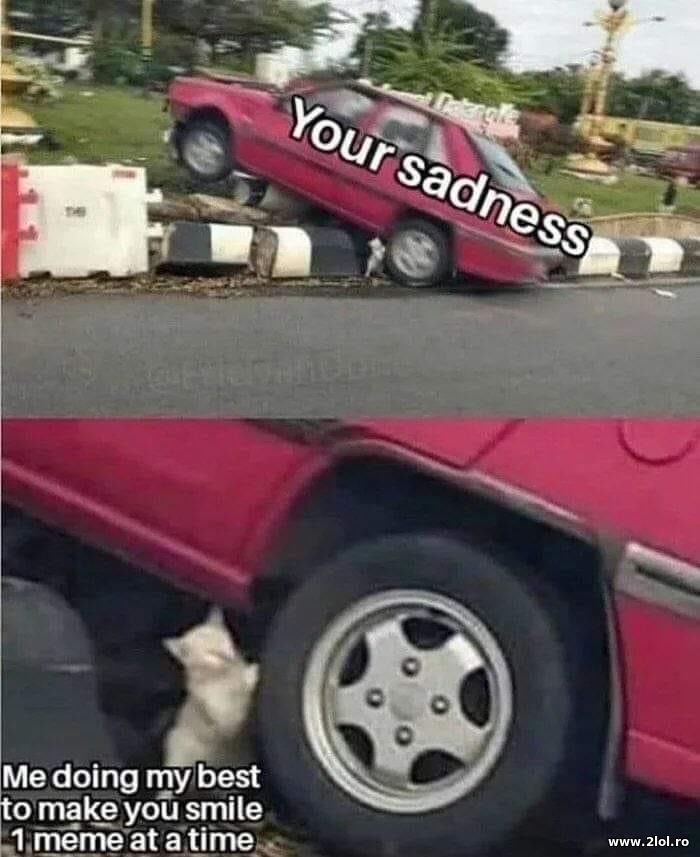 Your sadness. Me doing my best | poze haioase