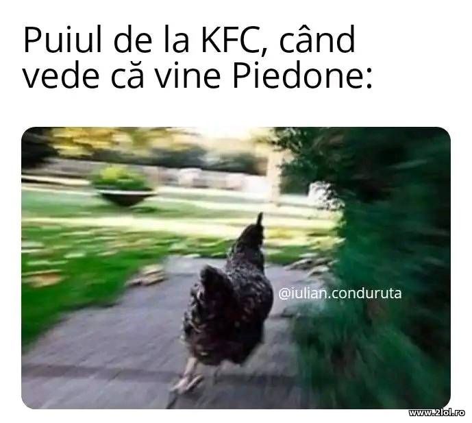 Puiul de la KFC cand il vede pe Piedone | poze haioase