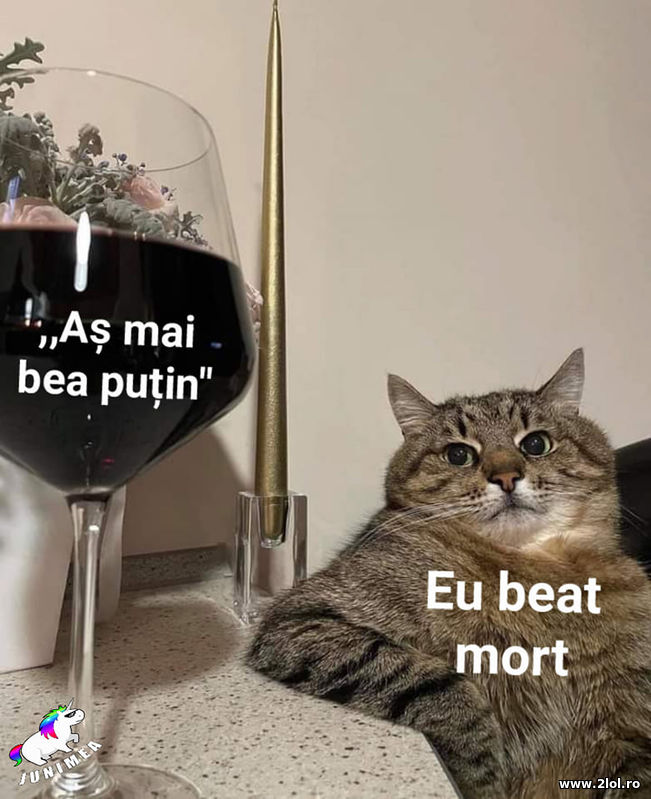 As mai bea putin | poze haioase