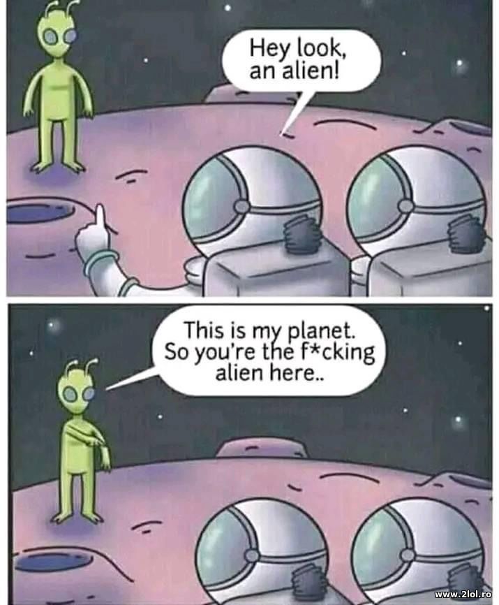 Hey look, an alien | poze haioase