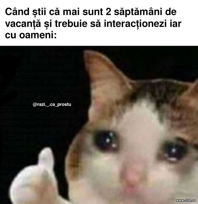 Can stii ca mai sunt 2 saptamani de vacanta | poze haioase