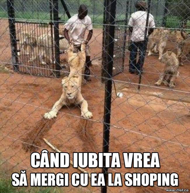Cu iubita la shoping | poze haioase