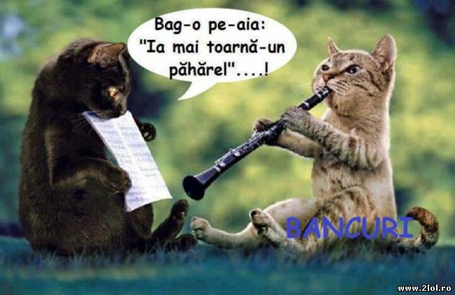Bag-o pe aia "Ia mai toarnă un păhărel" | poze haioase