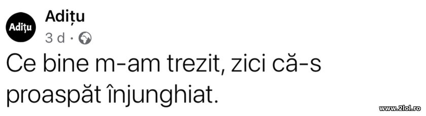 Ce bine m-am trezit zici ca-s proaspat injunghiat | poze haioase
